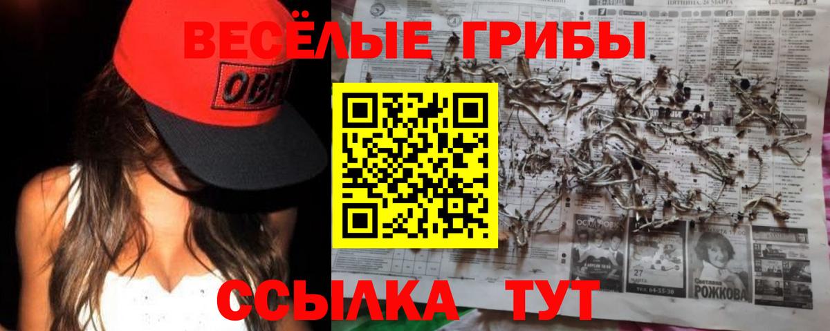 Псилоцибиновые грибы мицелий Прохладный
